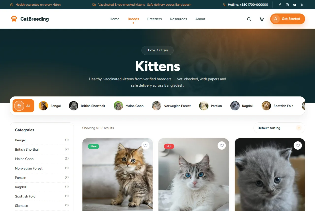 Kitten ecommerce website design – Minu available kittens page