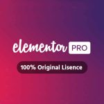 I will install Elementor Pro Plugin for 1 year with Elementor Library Access