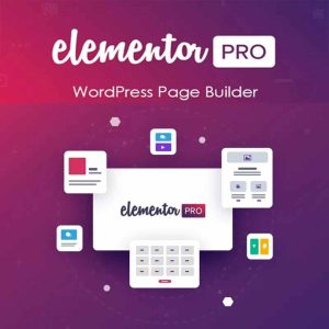 I will install Elementor Pro Plugin for 1 year with Elementor Library Access