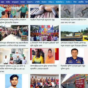 dhakapost wordpress theme download