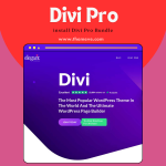 install Divi Pro Bundle