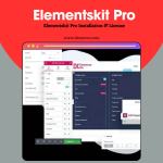 Elementskit Pro Installation & License Key Activation