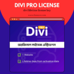 Divi Pro License