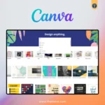 Canva Pro Admin Account Canva EDU Account