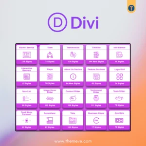 Divi Bundle for WordPress Divi Pro Bundle Theme for Lifetime