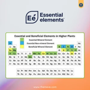 Essential Elements Plugin
