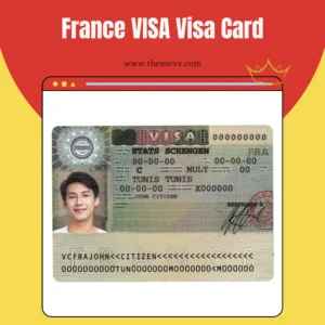 France VISA Card PDF
