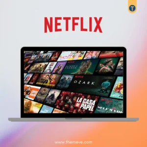 Netflix Premium Subscription