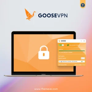 goose vpn premium